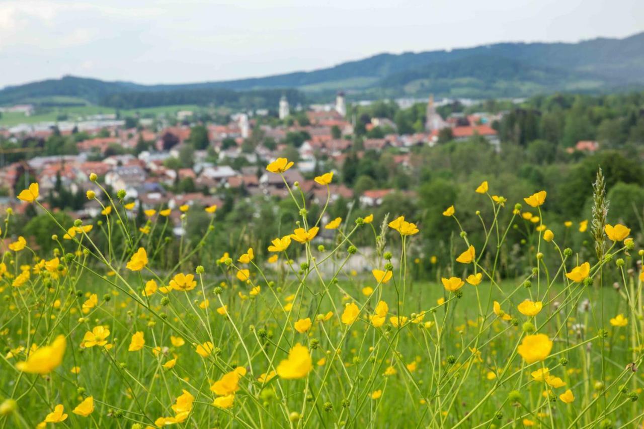 Apartament Eistobel Und Felderhalde Isny im Allgäu Zewnętrze zdjęcie
